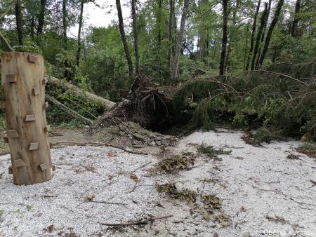 Ogled kolesarske povezave Kamnik–Godič (2)